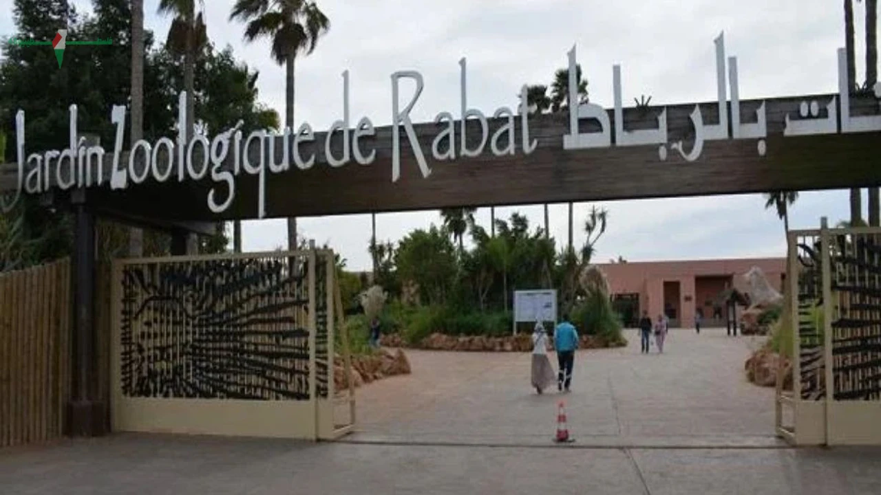 تطبيق “Zoo de Rabat” الجديد يعزز تجربة الزوار بشكل مبتكر